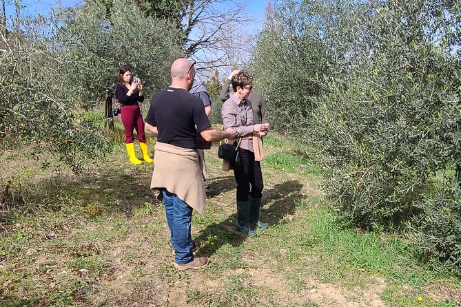 3 Hours Truffle Hunting With Pasta Cooking Class and Lunch - Booking Flexibility and Cancellation