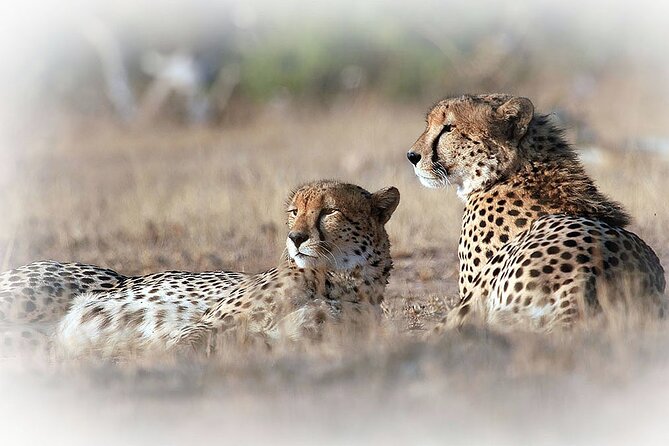 3 Night & 4 Day Private Kruger Park Safari - About Kruger National Park