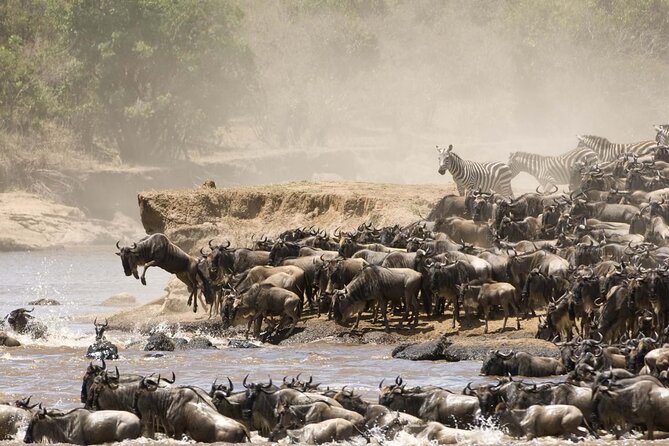 3days/2nights Group Joining Masai Mara - Traveler Information