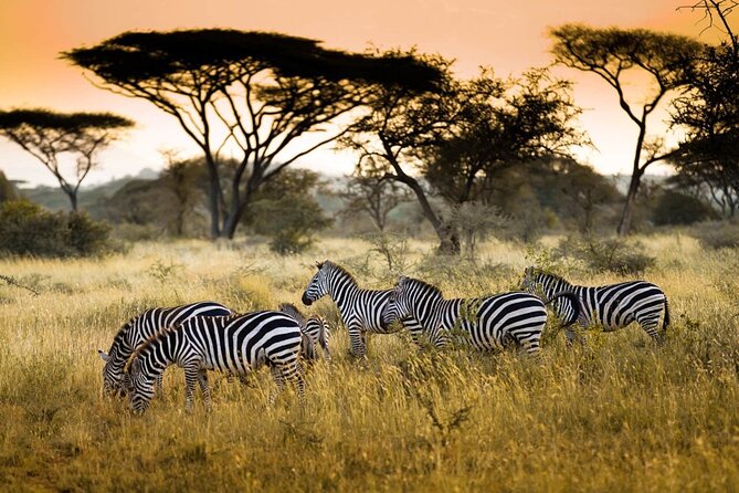 4 Days / 3 Nights Lake Manyara, Ngorongoro and Serengeti - Tour Policies and Information