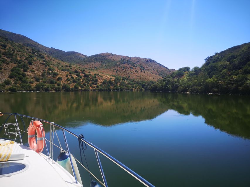 4H Private Boat Trip Douro River - Feel the Nature - Highlights of the Tour