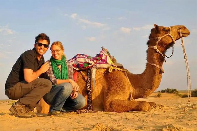 4x4 Deluxe Desert Safari Dubai With Camel Riding - Key Highlights