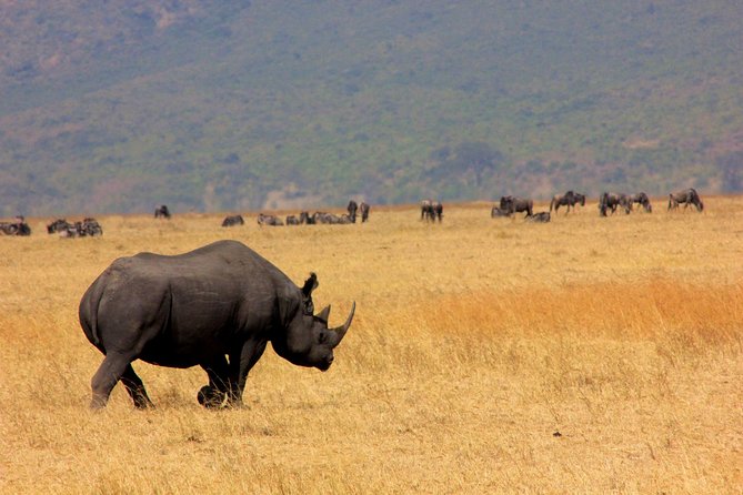 5 Days 4 Nights Tarangire, Serengeti , Ngorongoro & Manyara Wildlife Safari - Important Considerations for Travelers