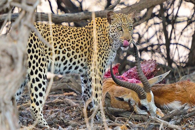 6 Day Group Camping Safari Tarangire Serengeti Ngorongoro Manyara - Testimonials and Reviews