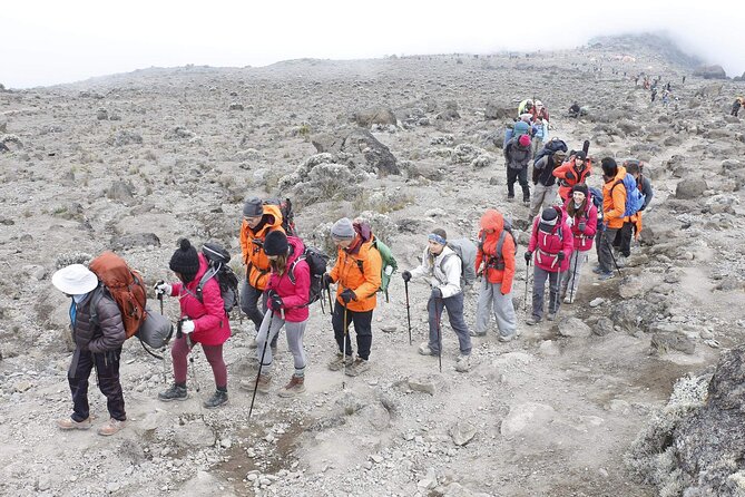 6 Days: Hiking Kilimanjaro via Machame Route - Booking and Payment Options