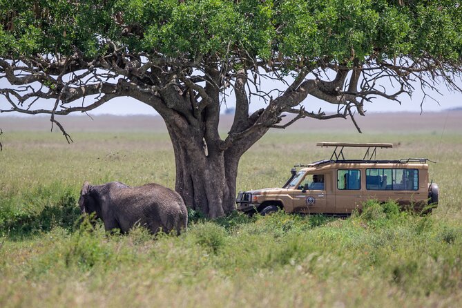 6 Days-The Best of Tanzania Safari - Itinerary Customization and Flexibility