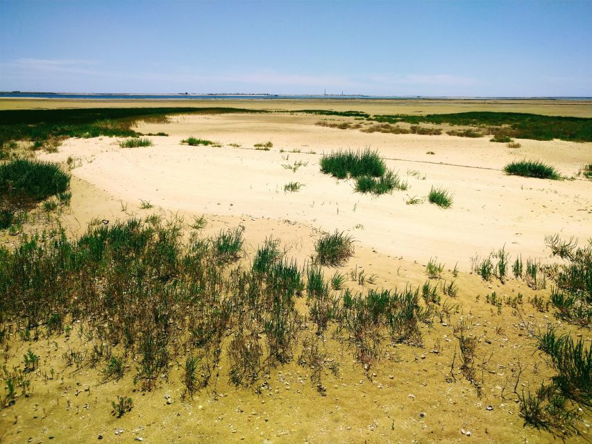 6 Hour Classic Boat Cruise, Ria Formosa Natural Park, Olhão. - Ria Formosa Scenic Cruise