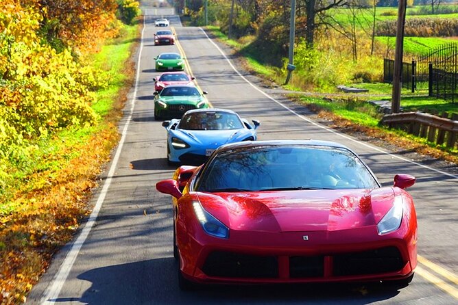 6 Hour Exotic Car Tour Driving 6 Super Cars + Lunch - Positive Reviews