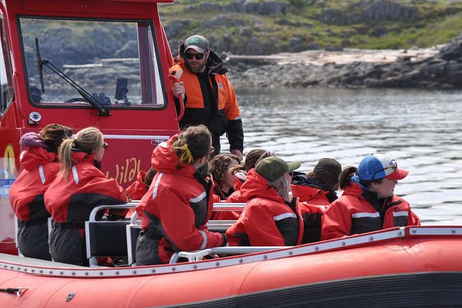 6 Hour Zodiac Whale Watching Tour - Boat and Viewing Experience