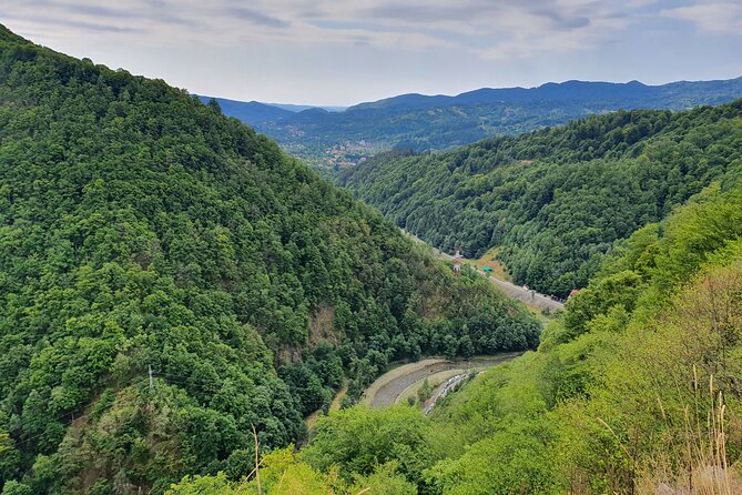 7-Hour Private Tour to Bran Castle From Bucharest - Guide Expertise