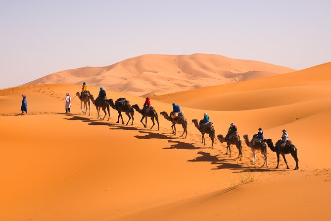 7D Desert Private Tour From Marrakech By Fes And Blue Chefchaouen - Pricing and Availability