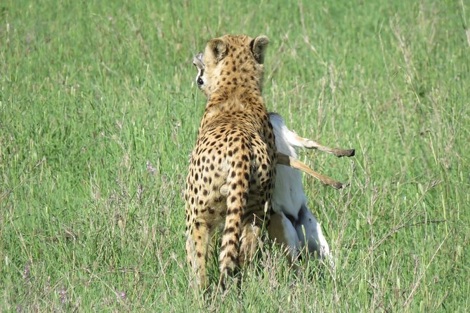 9 Days Safari To See Great Migration Crossing - Booking and Cancellation