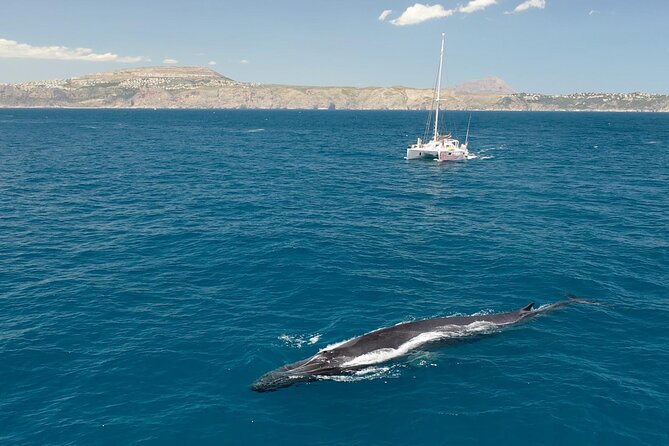 A Day at Sea From Dénia or Jávea With Barbecue Aboard the Catamaran - Reservation Information