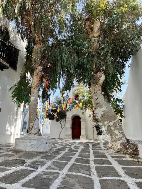 A Discovery Tour in Mykonos - Group Options and Customization