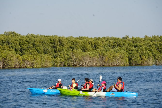 Abu Dhabi Eastern Mangrove Lagoon National Park Kayaking - Guided Tour - Highlights and Activities