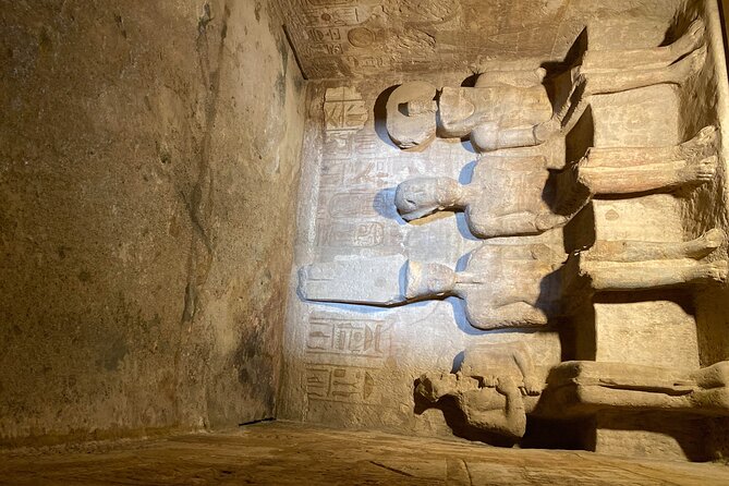 Abu Simbel Private Tour From Aswan - Additional Tour Highlights