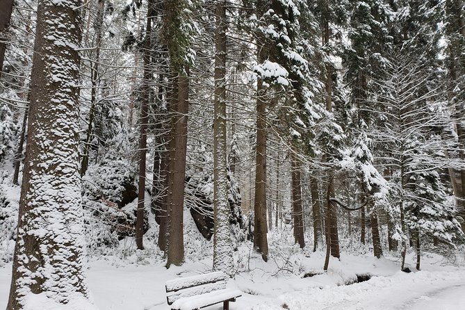 Adrspach Teplice Rocks Filming Site of The Chronicles of Narnia - Weather and Minimum Travelers