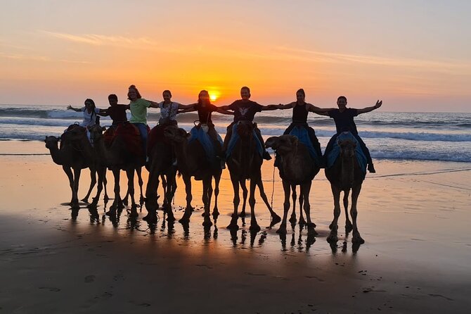 Adventure Day in Tangier + Free Photography - Camel Experiences