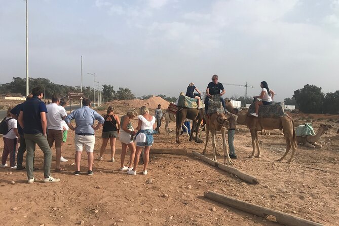 Agadir Camel Riding - Additional Information