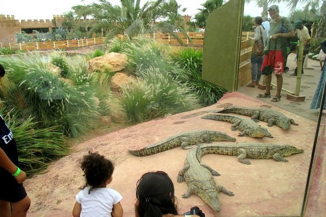 Agadir Crocoparc With Transfer & Admission Ticket - Accessibility and Amenities