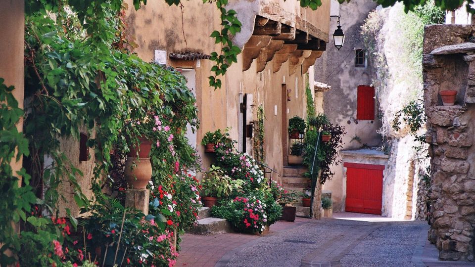 Aix-en-Provence and Avignon, City of Popes Private Tour - Navigating the Citys Winding Alleys