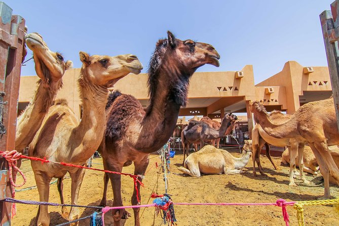 Al Ain City Sightseeing Tour With Lunch From Dubai - Additional Information