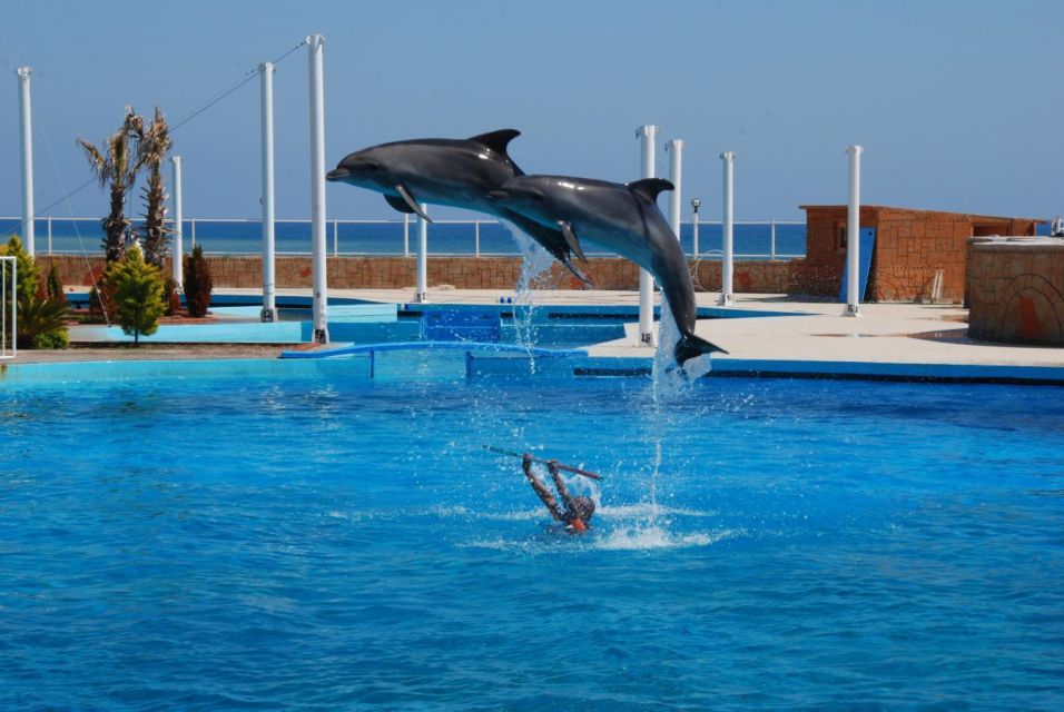 Alanya: Dolphin and Seal Show Ticket With Hotel Transfers - Additional Information