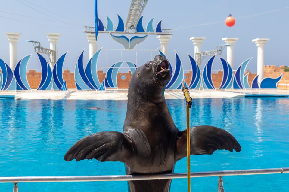 Alanya: Sealanya Dolphin Park Dolphin Show Tour - Booking and Payment Information