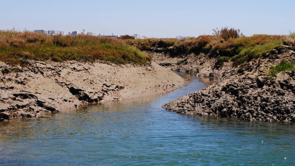 Algarve: Eco Boat Tour in the Ria Formosa Lagoon From Faro - Preparing for the Eco Boat Tour