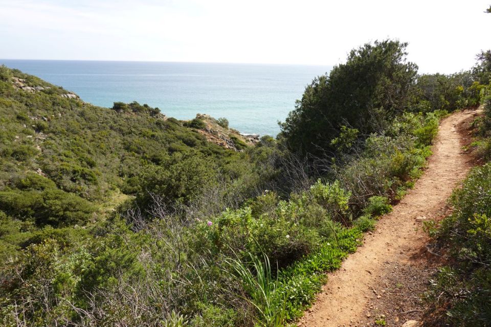 Algarve: Guided WALK in the Natural Park | South Coast - Getting to the Destination