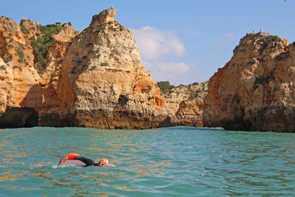 Algarve: Open Water Swimming - Environmental Awareness