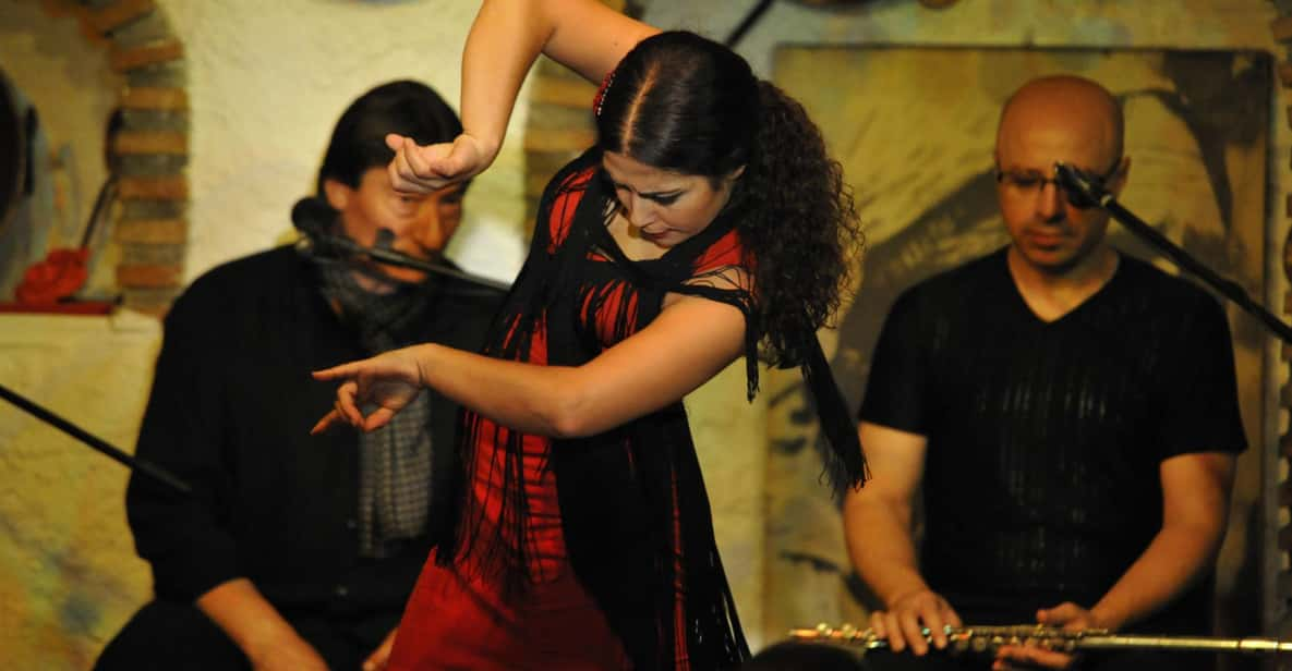 Alhambra Guided Tour and Flamenco Show With Optional Dinner - Flamenco Performance in Sacromonte