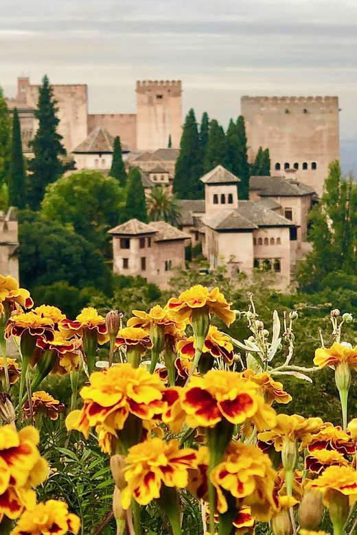 Alhambra: Guided Tour With Fast-Track Entry - Confirmation of Details