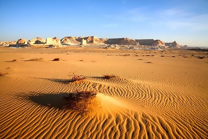 Allinclusive Private Tour Fayoum Oasis Waterfalls&Valley of Wales - Exploring the Fayoum Oasis