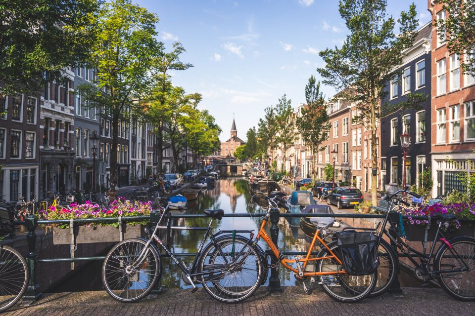 Amsterdam Full Day: Walking, Biking & Cruising With Lunch - Customer Feedback