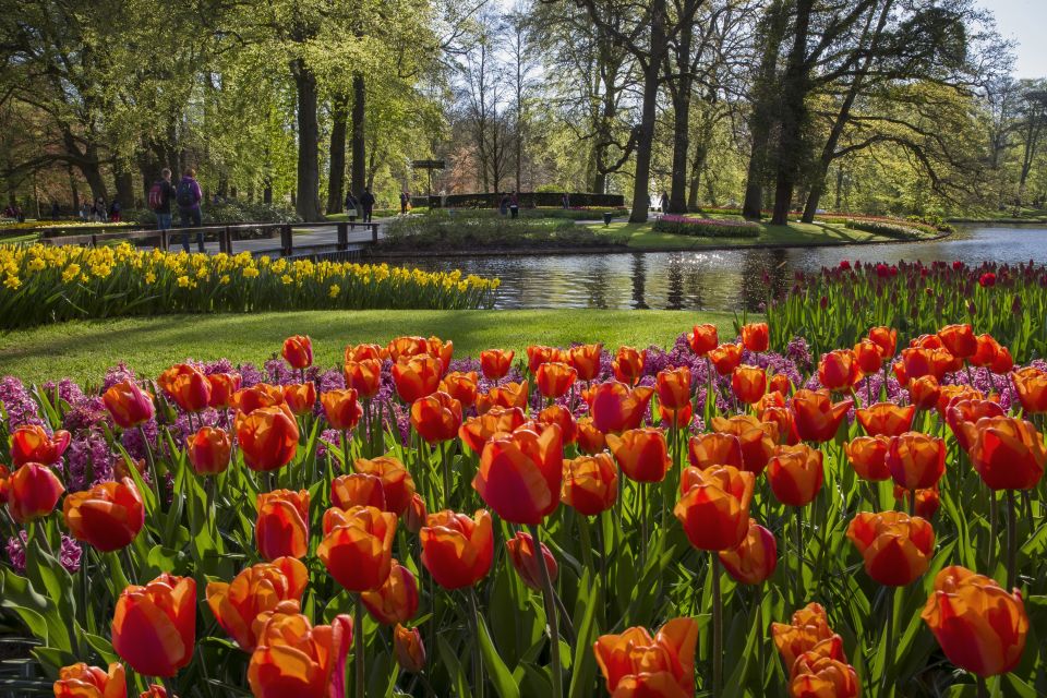 Amsterdam: Tour to Keukenhof Gardens With Windmill Cruise - Meeting Point and Transportation