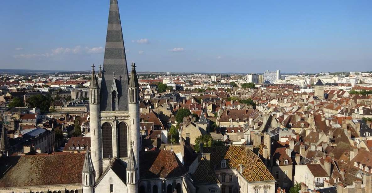 An Over-Look at the City With Shiny Roofs ! - Experiencing Dijon Like a Local