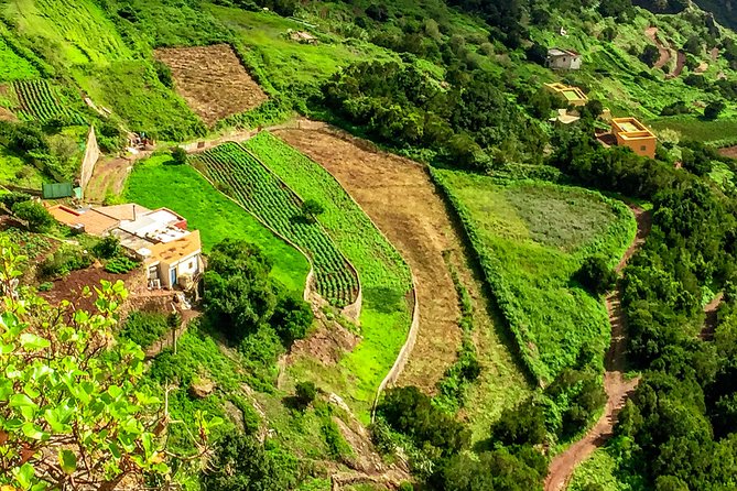 Anaga Private Tour: Valleys of Nature and Tradition - Experience Laurisilva Forests