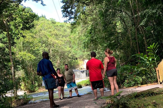 Appleton Estate,Ys Falls,Black River Safari,Pelican Bar(Any 3of4) - Physical Fitness Requirements