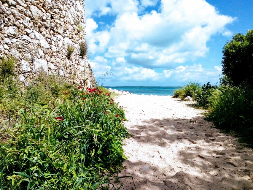 Arrábida Jeep Tour to the Most Beautiful Beach of Europe - Inclusions and Provisions