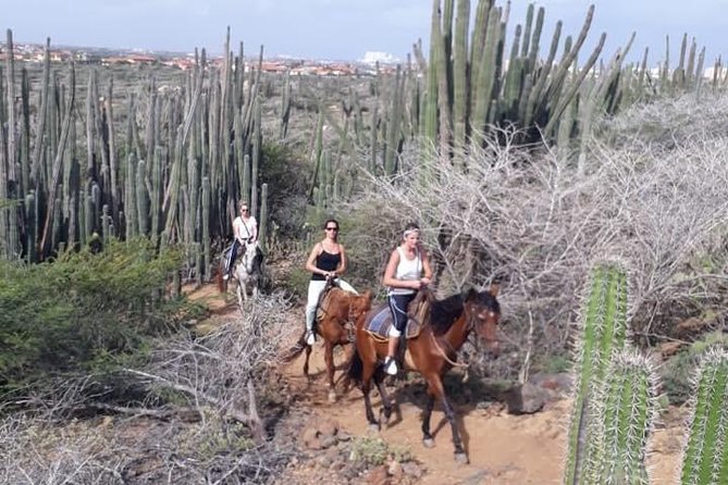 Aruba Horseback Riding Tour to Hidden Lagoon - Accessibility and Restrictions