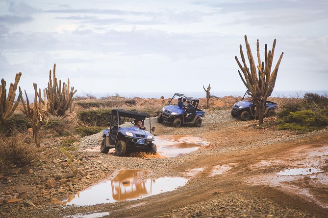 Aruba UTV Adventure Afternoon Tour - Additional Details