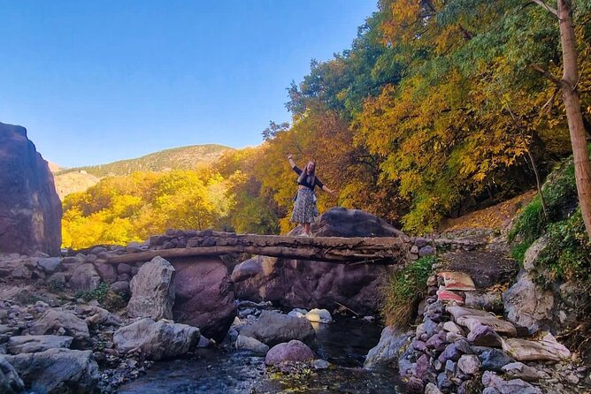 Atlas Mountains & Berber Villages& Cultuer Waterfalls Day Trip - Berber Culture and Home-cooked Meal