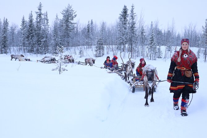 Aurora Hunting With Reindeer Caravan - Preparing for the Adventure