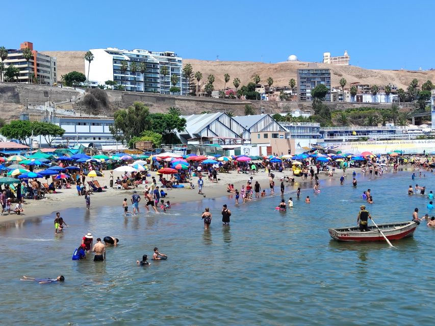 Authentic Lima: Fishing Culture Tour - Seafood Market and Pier