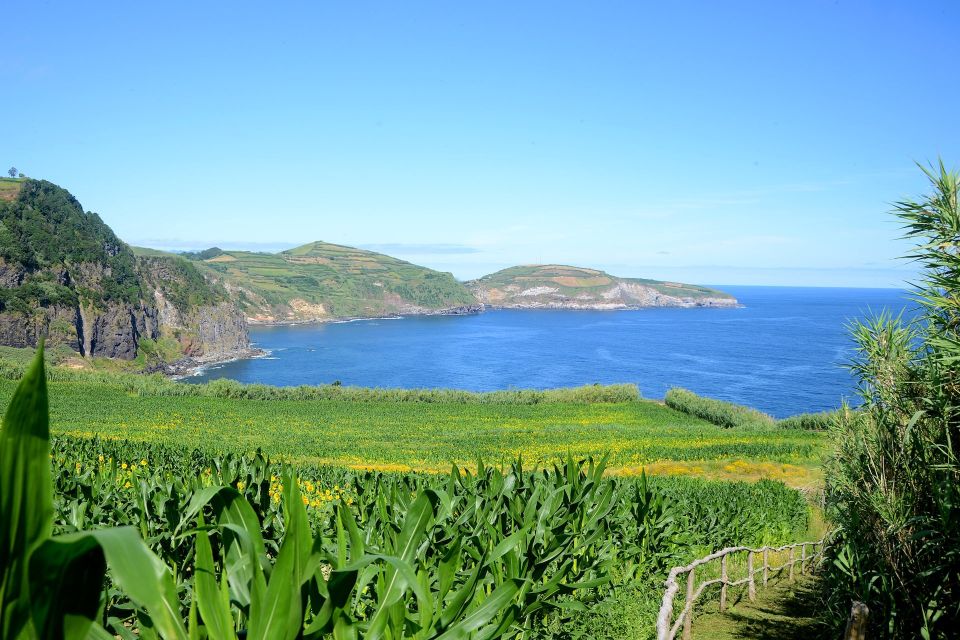 Azores: São Miguel Hike and Snorkeling With a Local - Exploring the Azorean Forest