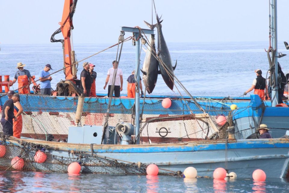 Barbate: Boat Tour to the Almadraba of Conil (Tuna Fishing) - Meeting Point