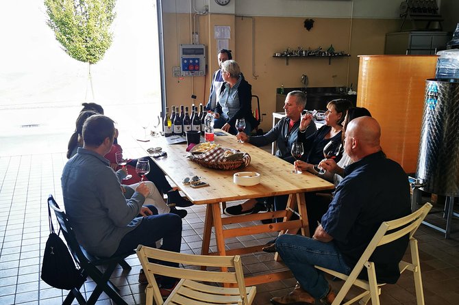 Barolo & Barbaresco Wine Tour With a Local Winemaker - Insights From the Local Winemaker