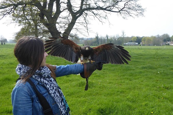 Bath City Tour & Fly a Hawk Experience - Day Tour From Bath - Flexibility and Customization