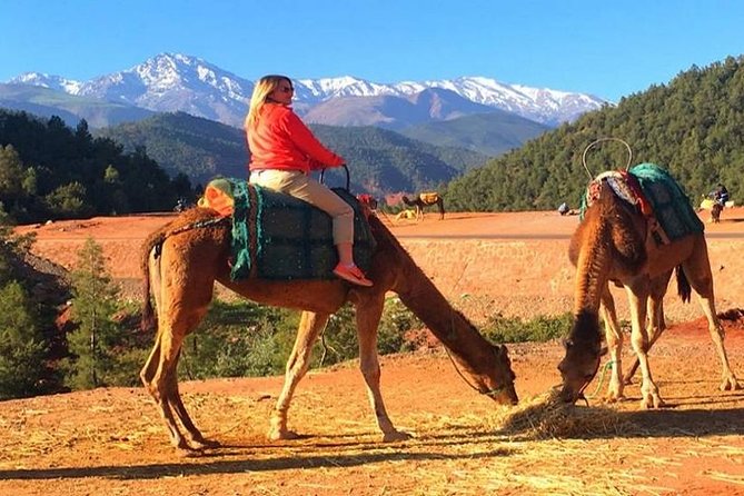 Berber Villages Day Trip & Camel Ride From Marrakech - Additional Information